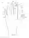 Fig. 02 - Method of making polymeric gloves having embedded surgical support systems and discrete elements