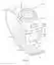 Fig. 19 - Tissue compression device with pressure indicator