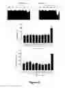 Fig. 05 - Combination of metabolic bio-energetic and nutra-epigentic regulators, nutraceutical compounds in conventional and nanotechnologies combination to revert and prevent the chronic damage accelerated cellular senescence produced by diabetes and other degenerative chronic complex diseases