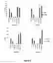 Fig. 07 - Combination of metabolic bio-energetic and nutra-epigentic regulators, nutraceutical compounds in conventional and nanotechnologies combination to revert and prevent the chronic damage accelerated cellular senescence produced by diabetes and other degenerative chronic complex diseases