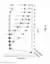 Fig. 03 - Therapeutic formulations and methods