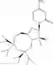 Fig. 45 - Substituted gemcitabine aryl amide analogs