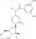 Fig. 49 - Substituted gemcitabine aryl amide analogs