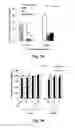 Fig. 08 - Methods for Treating Pressure Induced Optic Neuropathy, Preventing Neuronal Degeneration and Promoting Neuronal Cell Survival Via Administration of Lingo-1 Antagonists and TrkB Agonists
