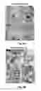 Fig. 09 - Methods for Treating Pressure Induced Optic Neuropathy, Preventing Neuronal Degeneration and Promoting Neuronal Cell Survival Via Administration of Lingo-1 Antagonists and TrkB Agonists