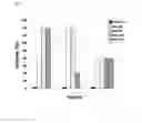 Fig. 06 - USE OF HUMAN SERUM ALBUMIN TO DECREASE ANTIGENICITY OF THERAPEUTIC PROTEINS