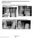 Fig. 02 - Cosmetic and Pharmaceutical Foam