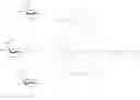 Fig. 131 - Targeted therapeutic nucleosides and their use