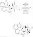 Fig. 320 - Substituted pyrazino[1′,2′:1 ,5]pyrrolo[2,3-b]indole-1,4-diones for cancer treatment