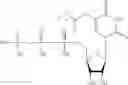 Fig. 239 - MODIFIED NUCLEIC ACID MOLECULES AND USES THEREOF