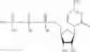 Fig. 271 - MODIFIED NUCLEIC ACID MOLECULES AND USES THEREOF