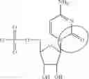 Fig. 87 - MODIFIED NUCLEIC ACID MOLECULES AND USES THEREOF