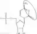 Fig. 88 - MODIFIED NUCLEIC ACID MOLECULES AND USES THEREOF