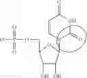 Fig. 90 - MODIFIED NUCLEIC ACID MOLECULES AND USES THEREOF