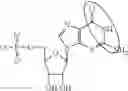 Fig. 97 - MODIFIED NUCLEIC ACID MOLECULES AND USES THEREOF