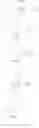 Fig. 216 - MODIFIED NUCLEIC ACID MOLECULES AND USES THEREOF