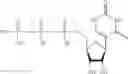 Fig. 294 - MODIFIED NUCLEIC ACID MOLECULES AND USES THEREOF