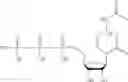 Fig. 445 - MODIFIED NUCLEIC ACID MOLECULES AND USES THEREOF