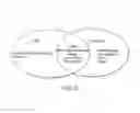 Fig. 07 - IMAGING AND THERAPY OF VIRUS-ASSOCIATED TUMORS