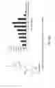 Fig. 09 - IMAGING AND THERAPY OF VIRUS-ASSOCIATED TUMORS