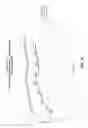 Fig. 17 - PROTECTIVE AGENTS AGAINST E-BEAM IRRADIATION FOR PROTEINS IN OPTICAL SENSING CHEMISTRY