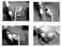 Fig. 01 - Hemostatic compositions