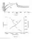 Fig. 07 - Method of making water soluble injectable calcium polyphosphate gels