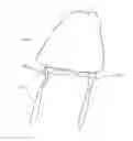Fig. 01 - Minimally Invasive Method of Augmenting a Glans Penis with Intradermal Filler Material