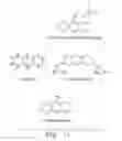 Fig. 13 - ADSORBING PATHOGEN-INACTIVATING COMPOUNDS WITH POROUS PARTICLES IMMOBILIZED IN A MATRIX