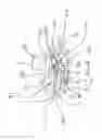 Fig. 05 - Catheter devices with needle guards and related methods