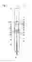 Fig. 02 - Syringe