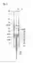 Fig. 03 - Syringe