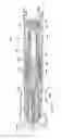 Fig. 96 - Semi disposable auto injector