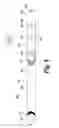 Fig. 08 - Body lumen fluid delivery device