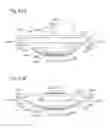 Fig. 42 - Microneedle applicator and microneedle patch application device