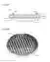 Fig. 78 - Microneedle applicator and microneedle patch application device