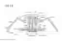 Fig. 82 - Microneedle applicator and microneedle patch application device