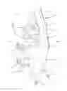 Fig. 01 - Goal tender leg pad