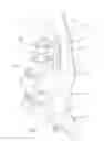 Fig. 02 - Goal tender leg pad