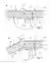 Fig. 06 - Goal tender leg pad