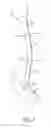 Fig. 07 - Goal tender leg pad