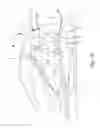 Fig. 10 - Goal tender leg pad