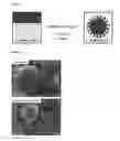 Fig. 02 - Hybrid microcapsules