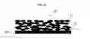 Fig. 06 - Surface functional composite film and method of fabricating the same