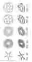 Fig. 09 - Support for elastomeric disc valve in combustion driven fastener hand tool