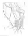 Fig. 02 - Bumper assemblies including a bumper cover reinforcement and vehicles incorporating the same