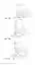 Fig. 06 - External airbag system