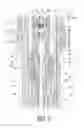 Fig. 06 - Bicycle seatpost assembly