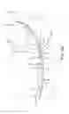 Fig. 07 - Locking breakdown spool