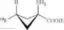 Fig. 06 - Preparation of 18F-fluciclovine